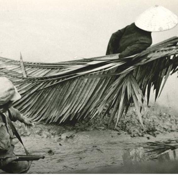 Vietnam del Sud, 1960, Un prigioniero trascina delle foglie di palme per costruire capanne, photo by & copyright © Calogero Cascio